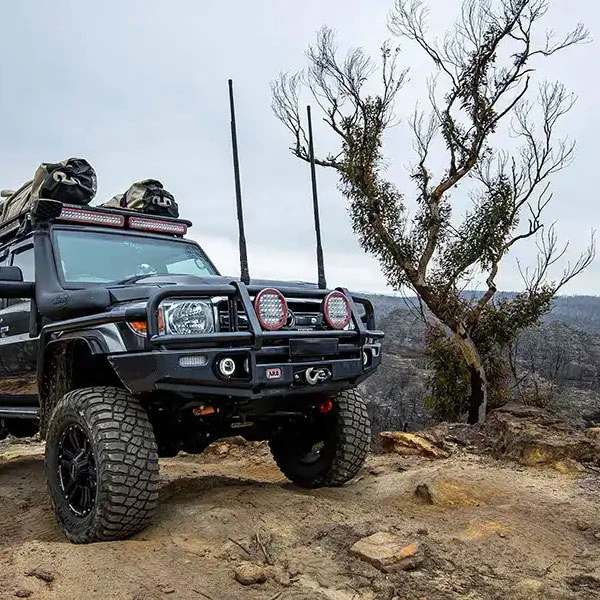 Mobile Antenna