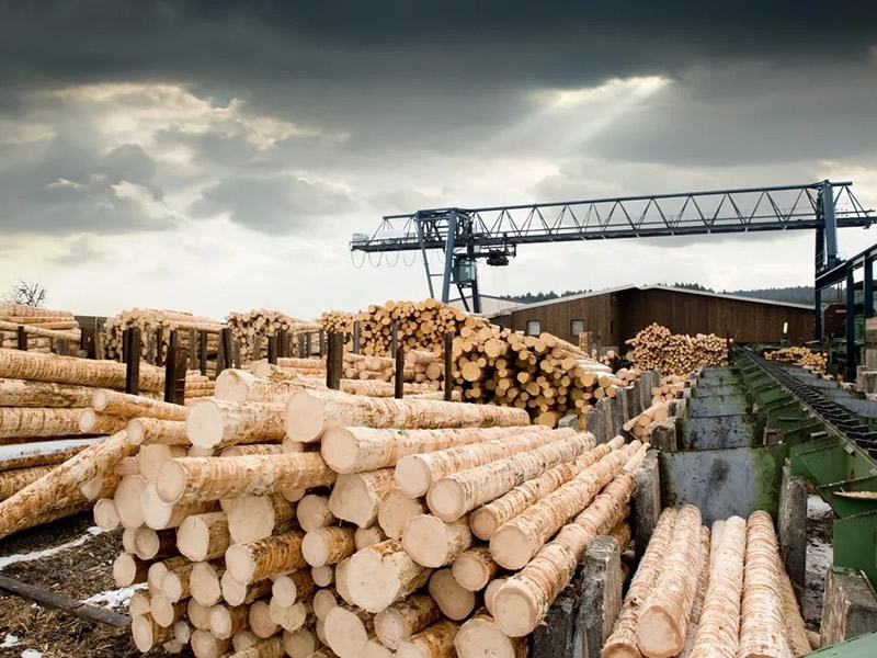 Forestry Applications for UHMW