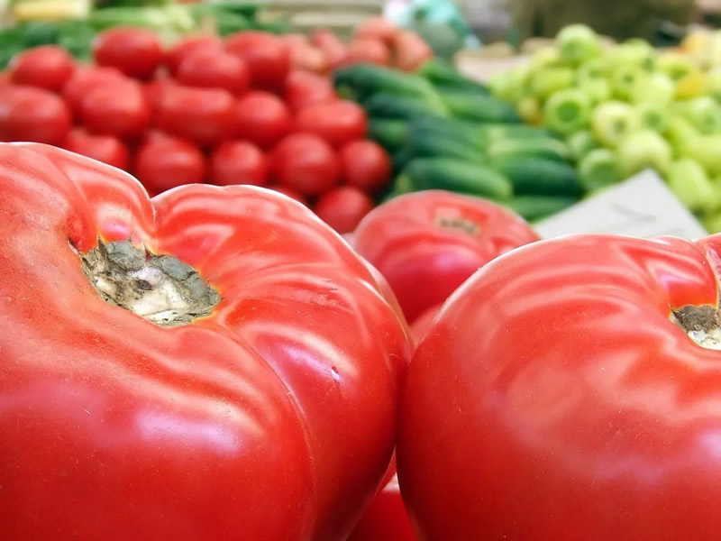 Food Handling & Processing UHMW Applications